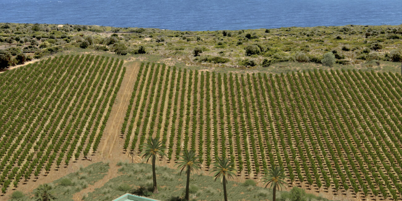 Agroestancia Sa Gruta- IONA projects